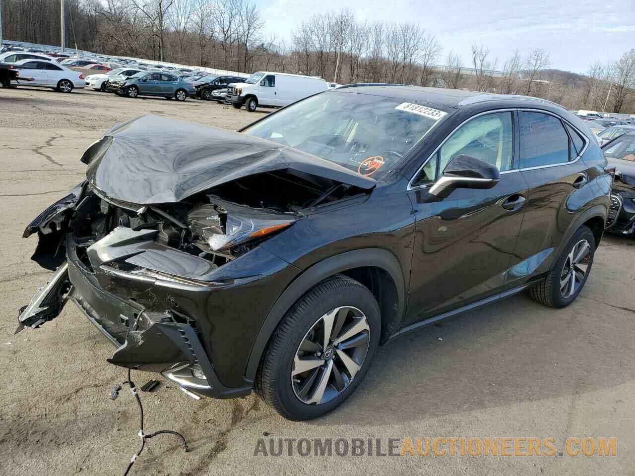 JTJGARDZ5L2224489 LEXUS NX 2020