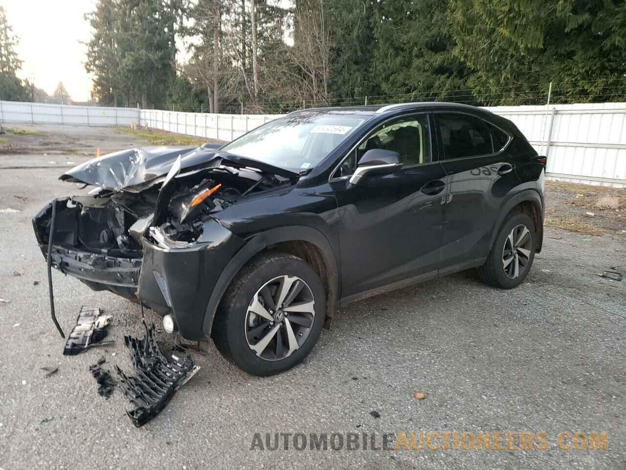 JTJGARDZXM5029648 LEXUS NX 2021