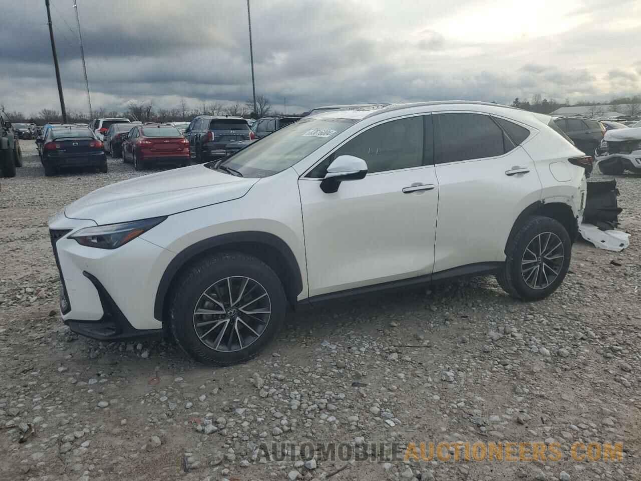 JTJGDCAZ7R5013598 LEXUS NX 250 PRE 2024