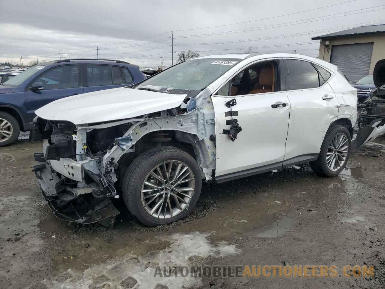 JTJHKCEZ4P5008778 LEXUS NX 350H 2023