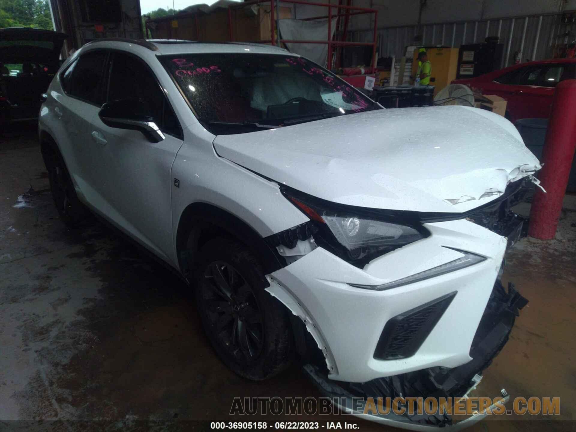 JTJSARBZ3M5021579 LEXUS NX 2021