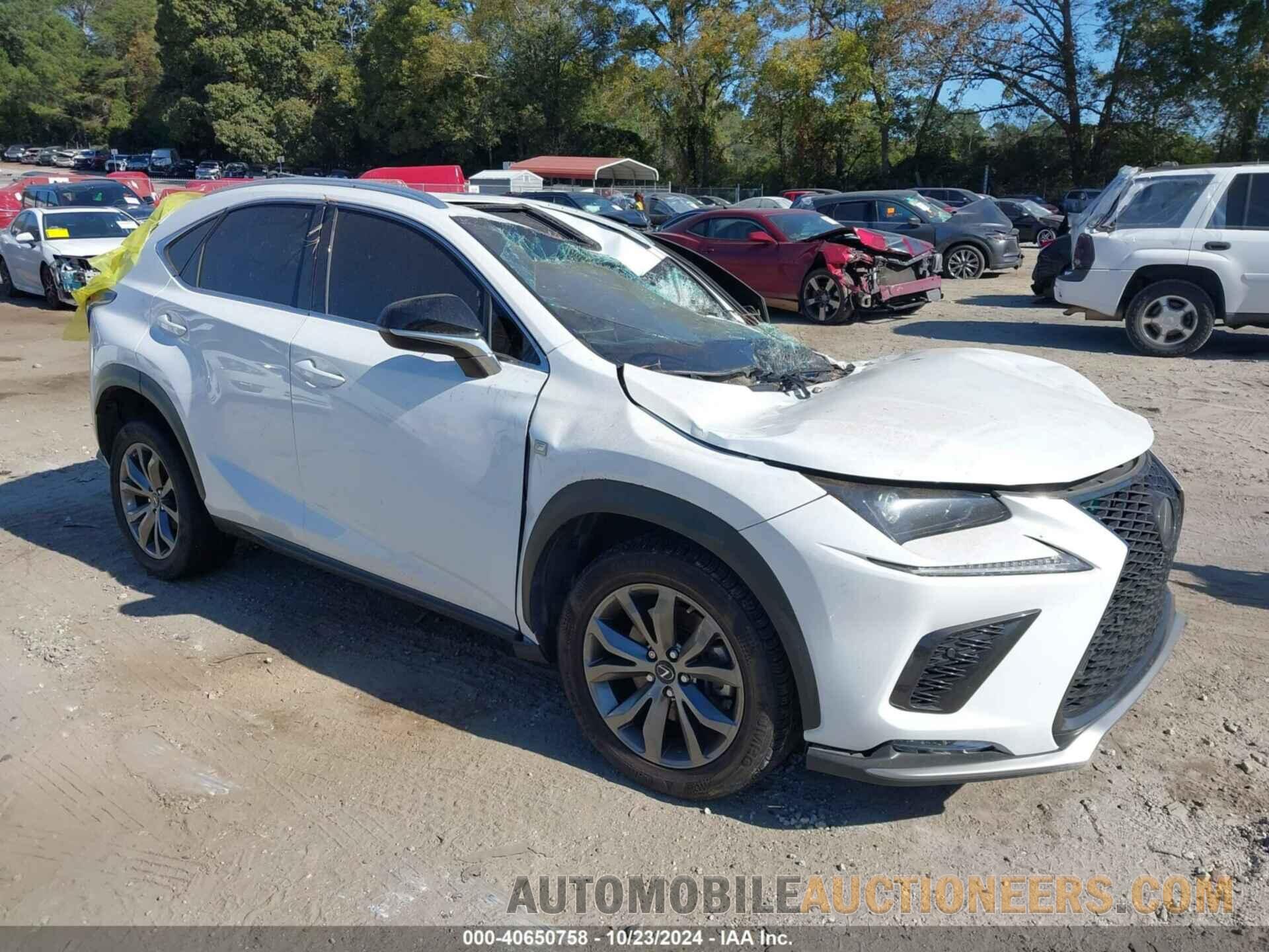 JTJSARBZ5M5022832 LEXUS NX 300 2021