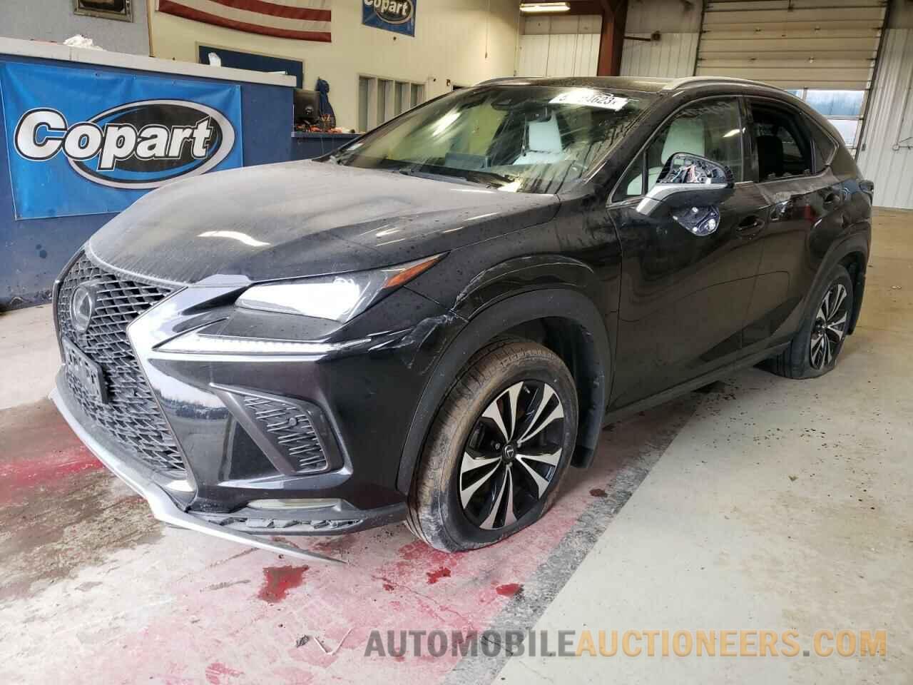 JTJSARDZ0M2240563 LEXUS NX 2021