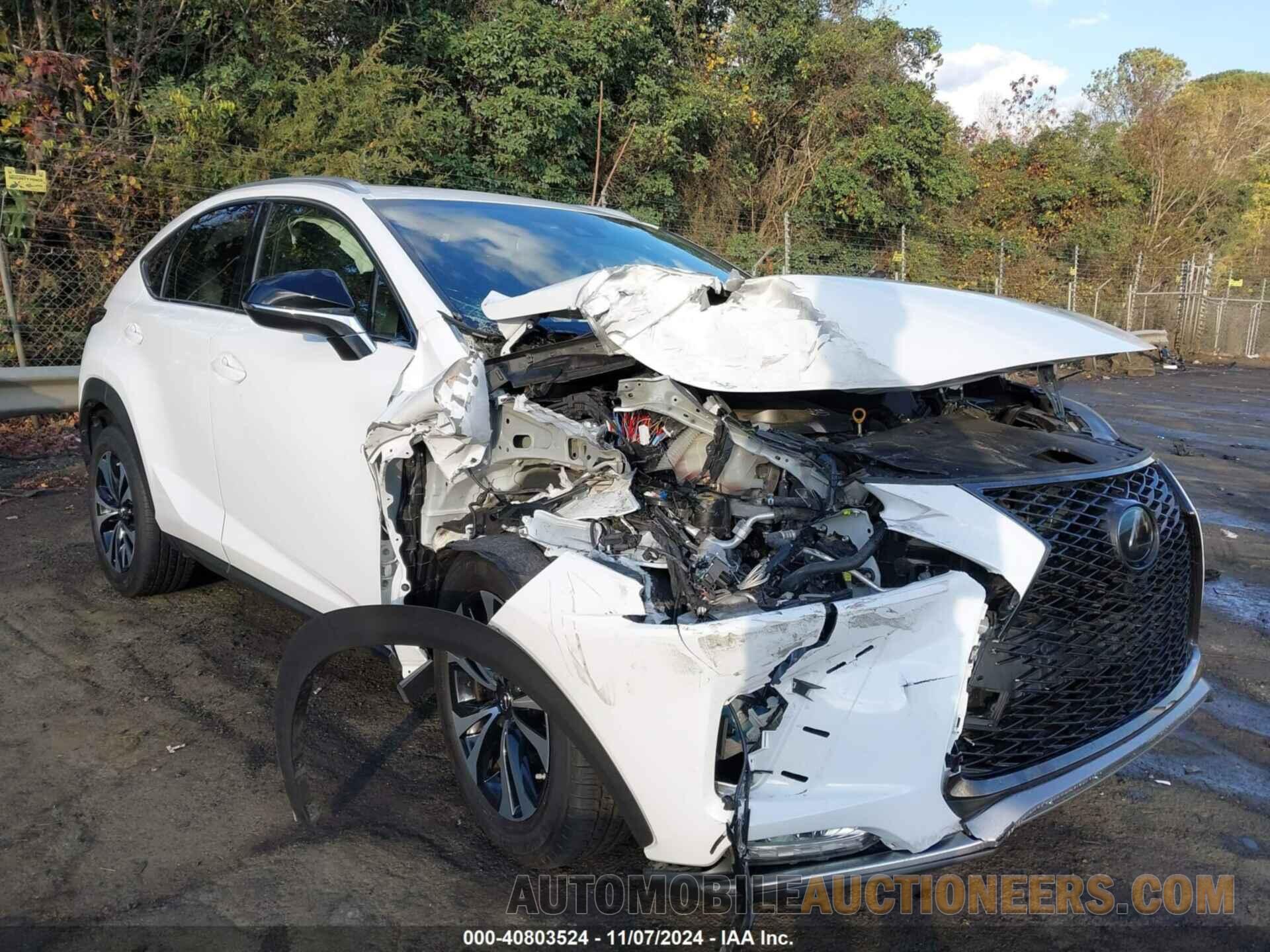 JTJSARDZ3L5013218 LEXUS NX 300 2020