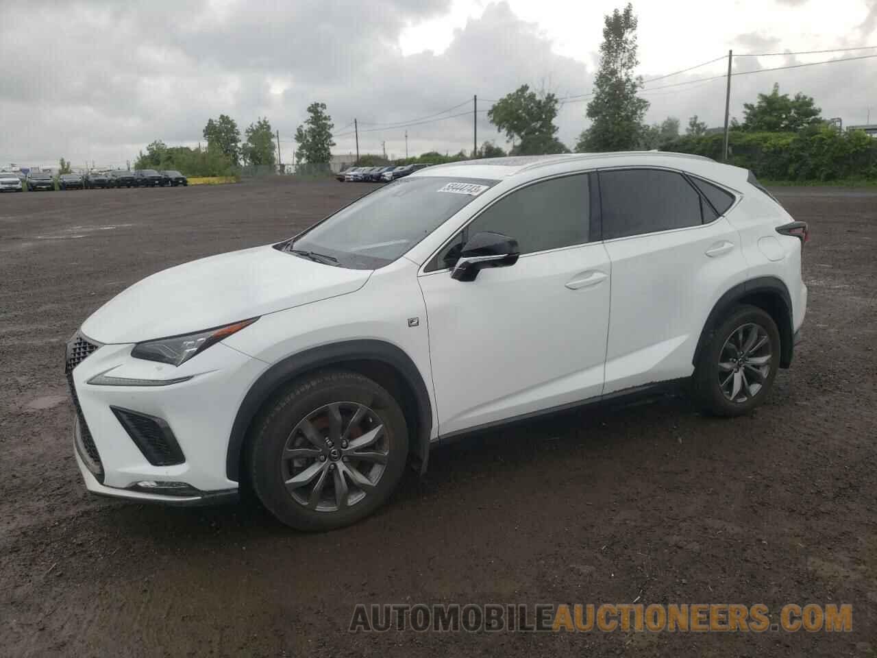 JTJSARDZ8L5003011 LEXUS NX 2020