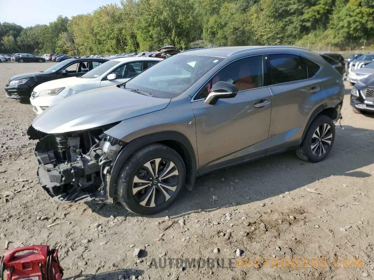 JTJSARDZ8M2248264 LEXUS NX 2021