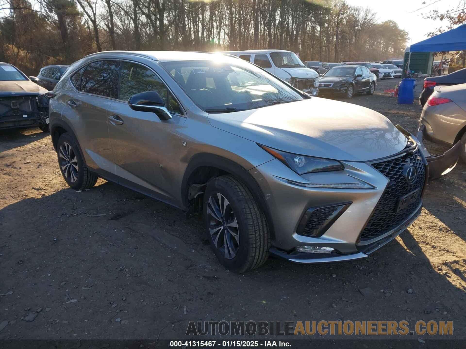 JTJSARDZ9M2250461 LEXUS NX 300 2021