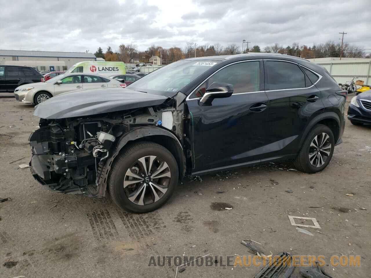 JTJSARDZXM2258343 LEXUS NX 2021