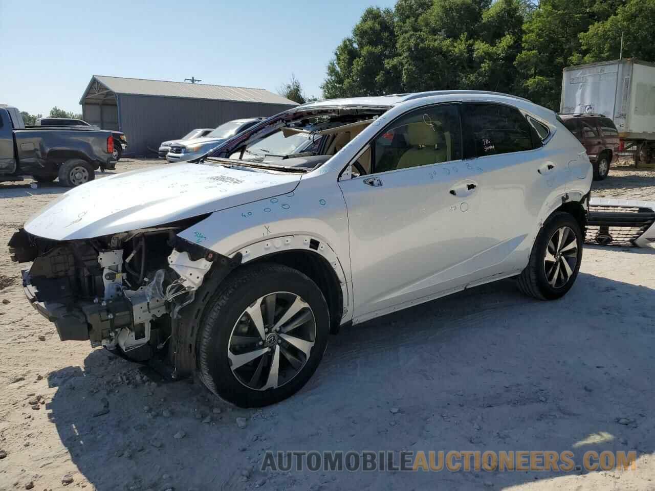 JTJYARBZ2K2124226 LEXUS NX 2019