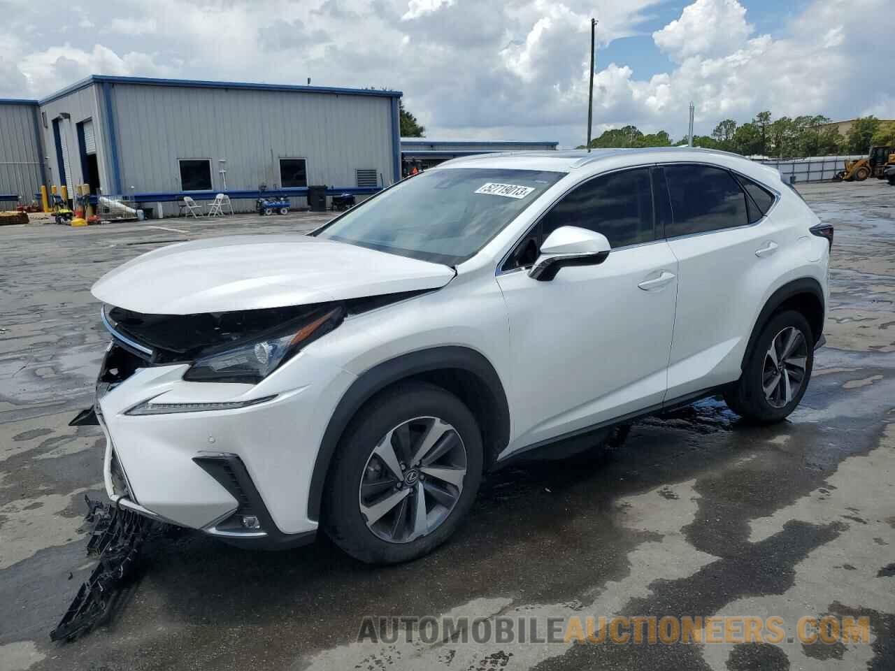 JTJYARBZ3K2127278 LEXUS NX 2019