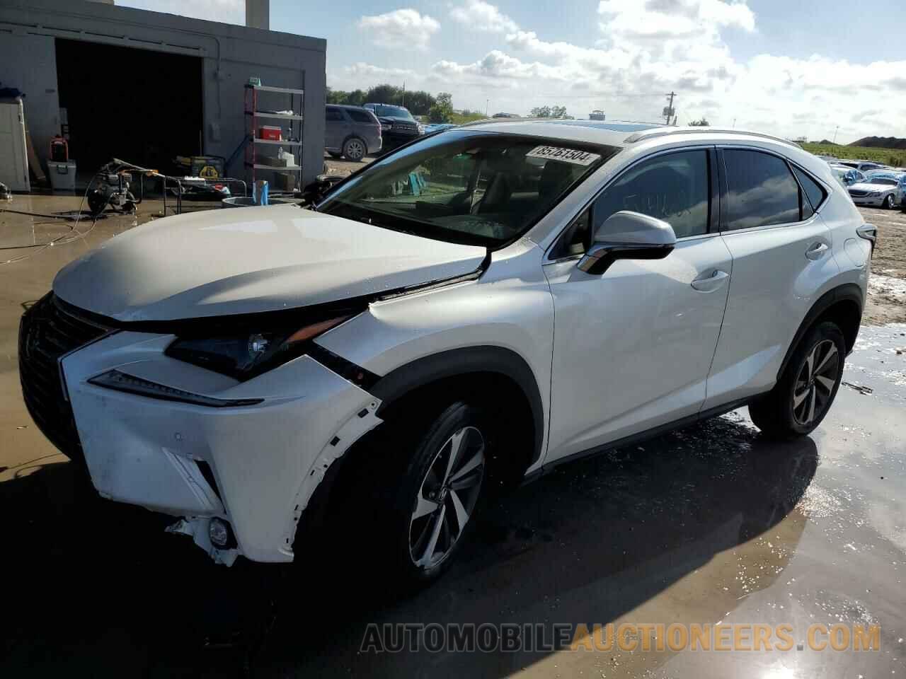 JTJYARBZ6K2133026 LEXUS NX 2019