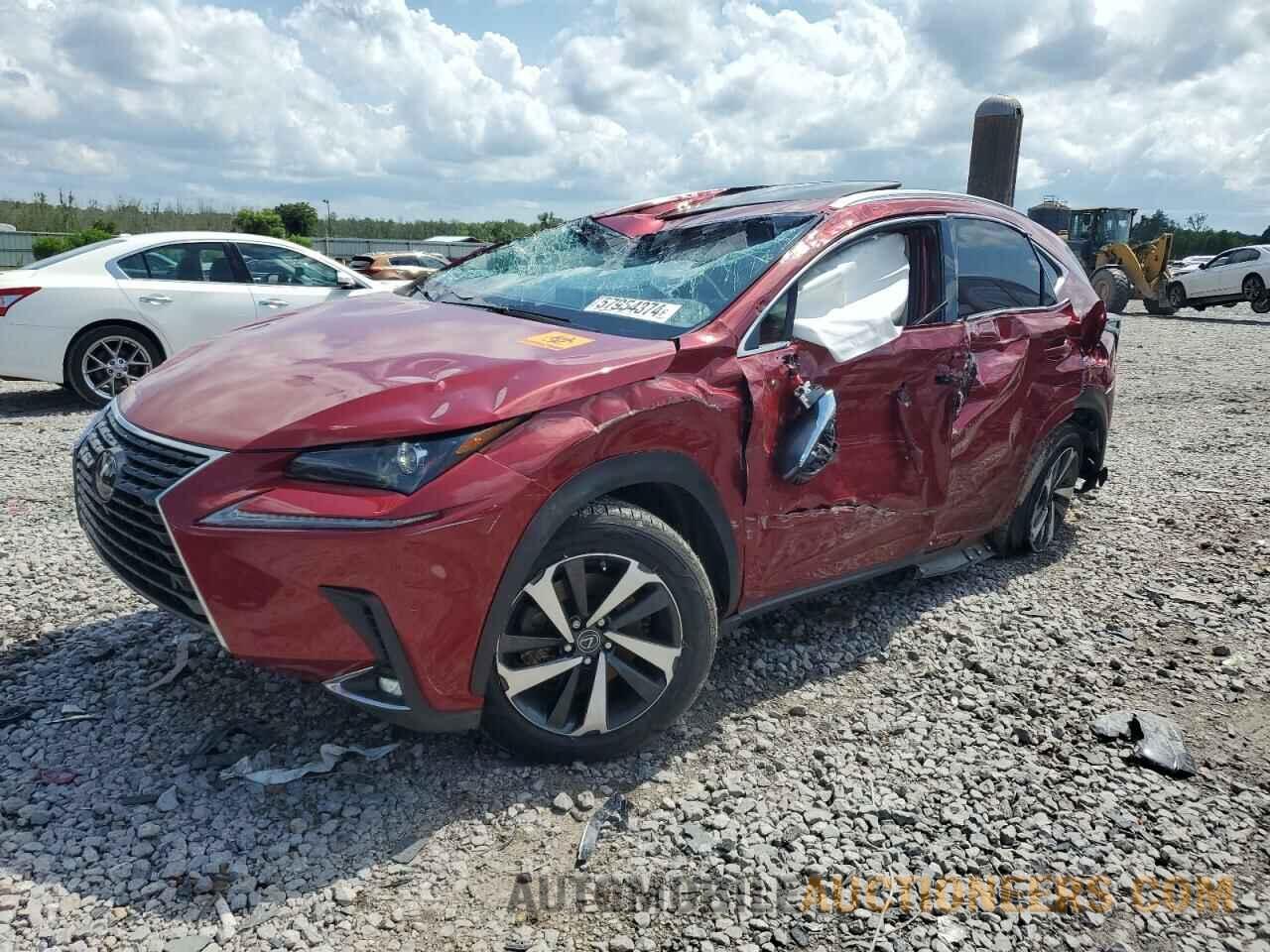 JTJYARBZ7J2086202 LEXUS NX 2018