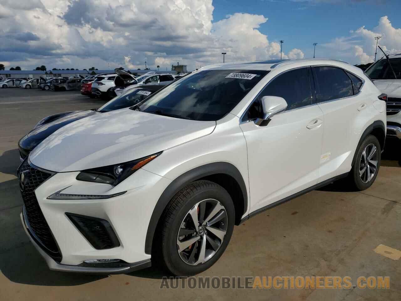 JTJYARBZ8K2147090 LEXUS NX 2019