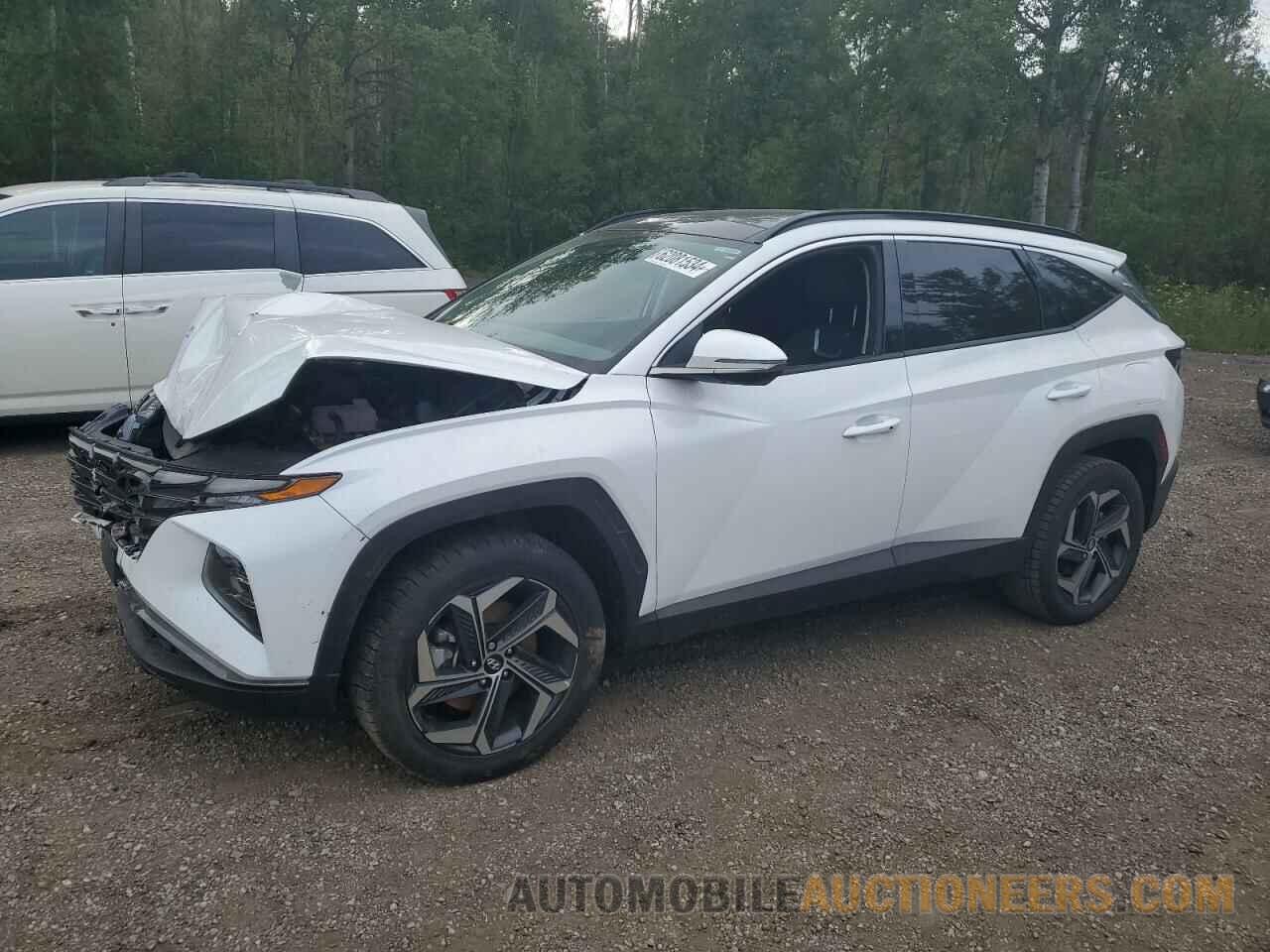 KM8JCCA11PU119291 HYUNDAI TUCSON 2023