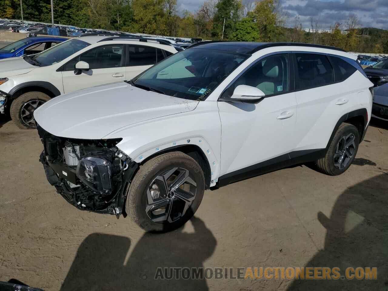 KM8JCCD11RU190232 HYUNDAI TUCSON 2024