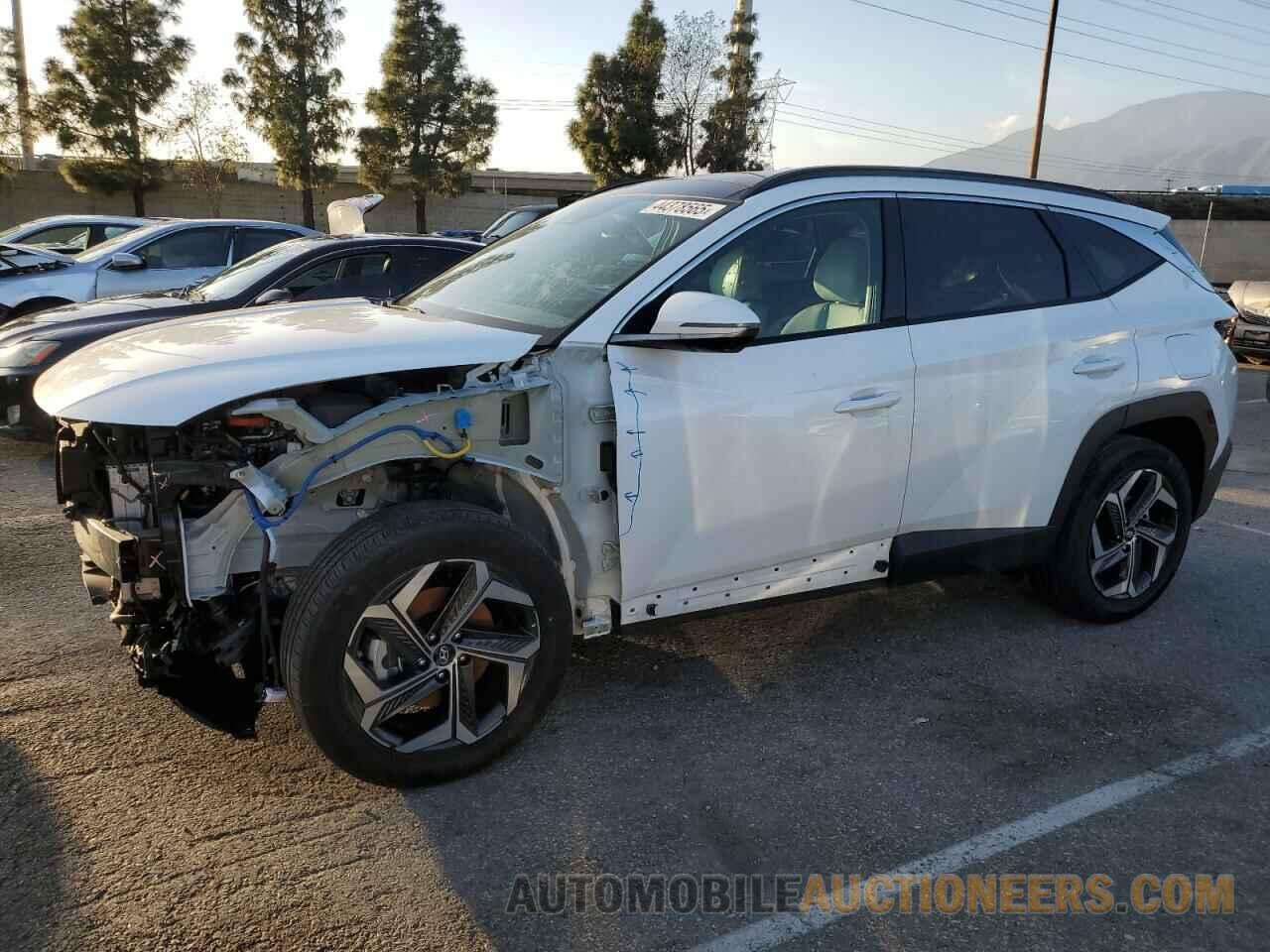 KM8JECA13PU118637 HYUNDAI TUCSON 2023