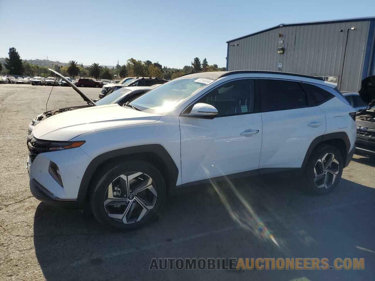 KM8JECA1XPU095518 HYUNDAI TUCSON 2023