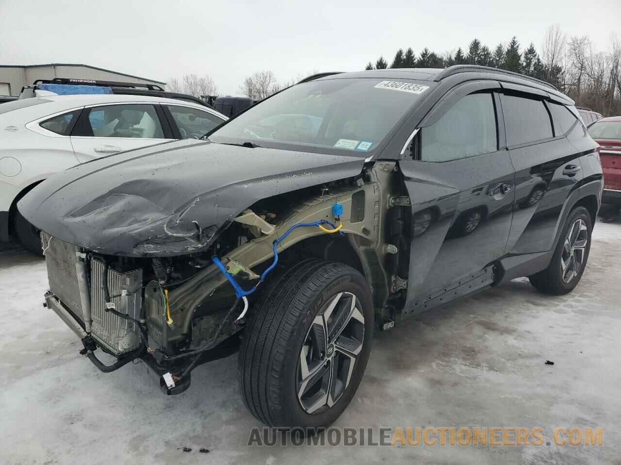 KM8JECD17RU146472 HYUNDAI TUCSON 2024