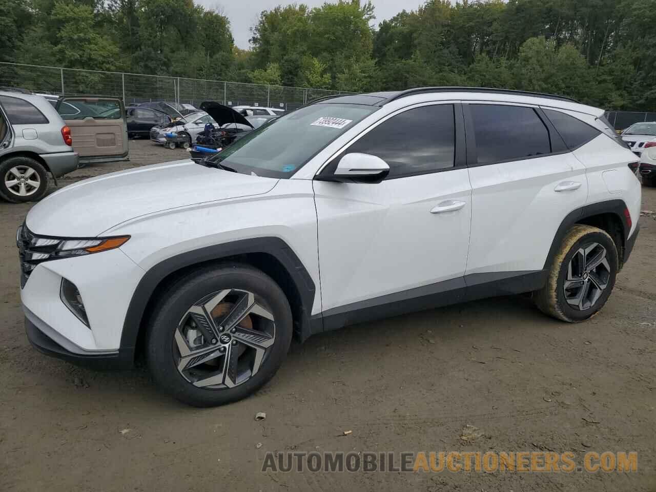 KM8JFCA15PU134500 HYUNDAI TUCSON 2023