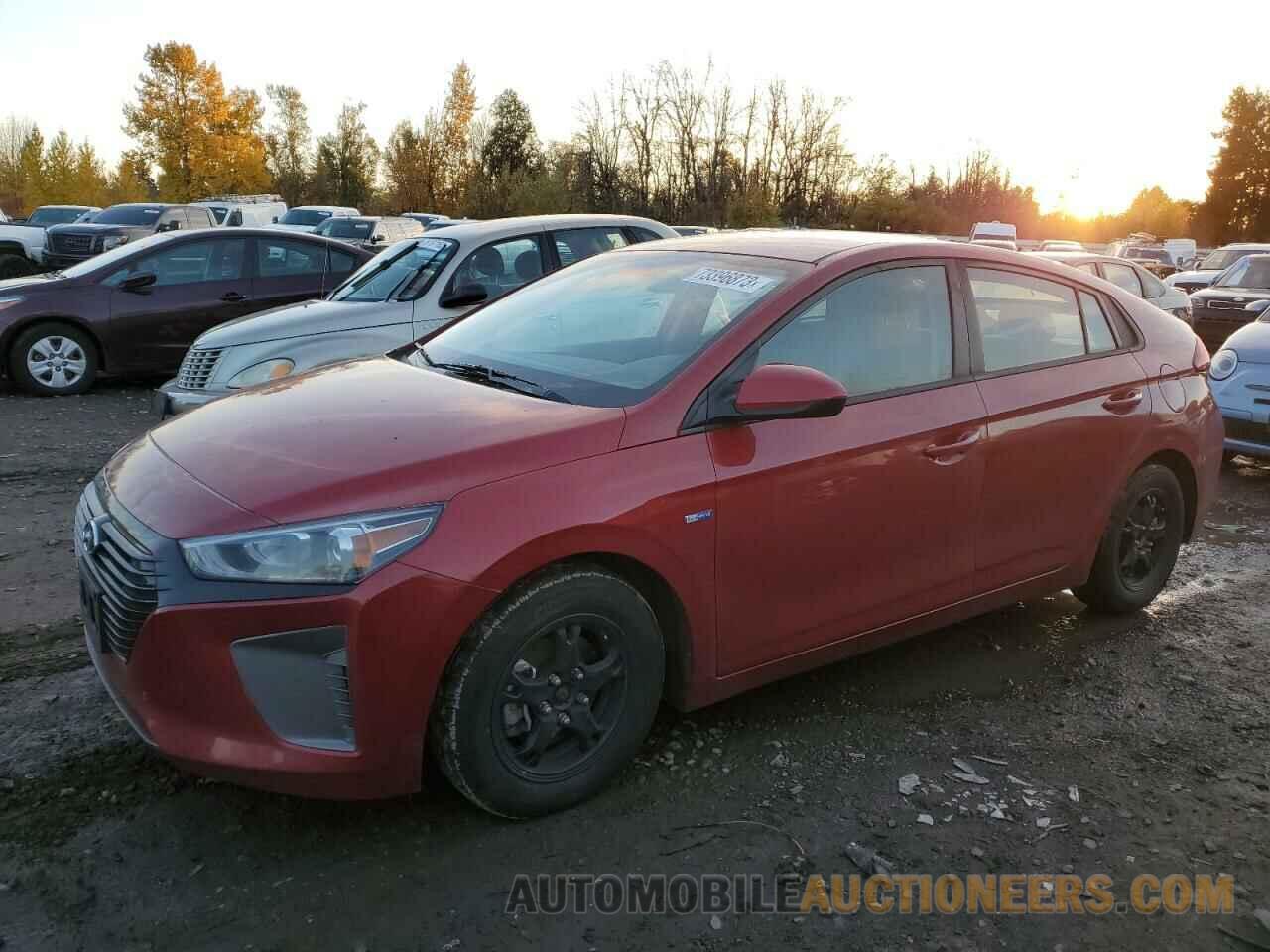 KMHC65LC2KU167479 HYUNDAI IONIQ 2019