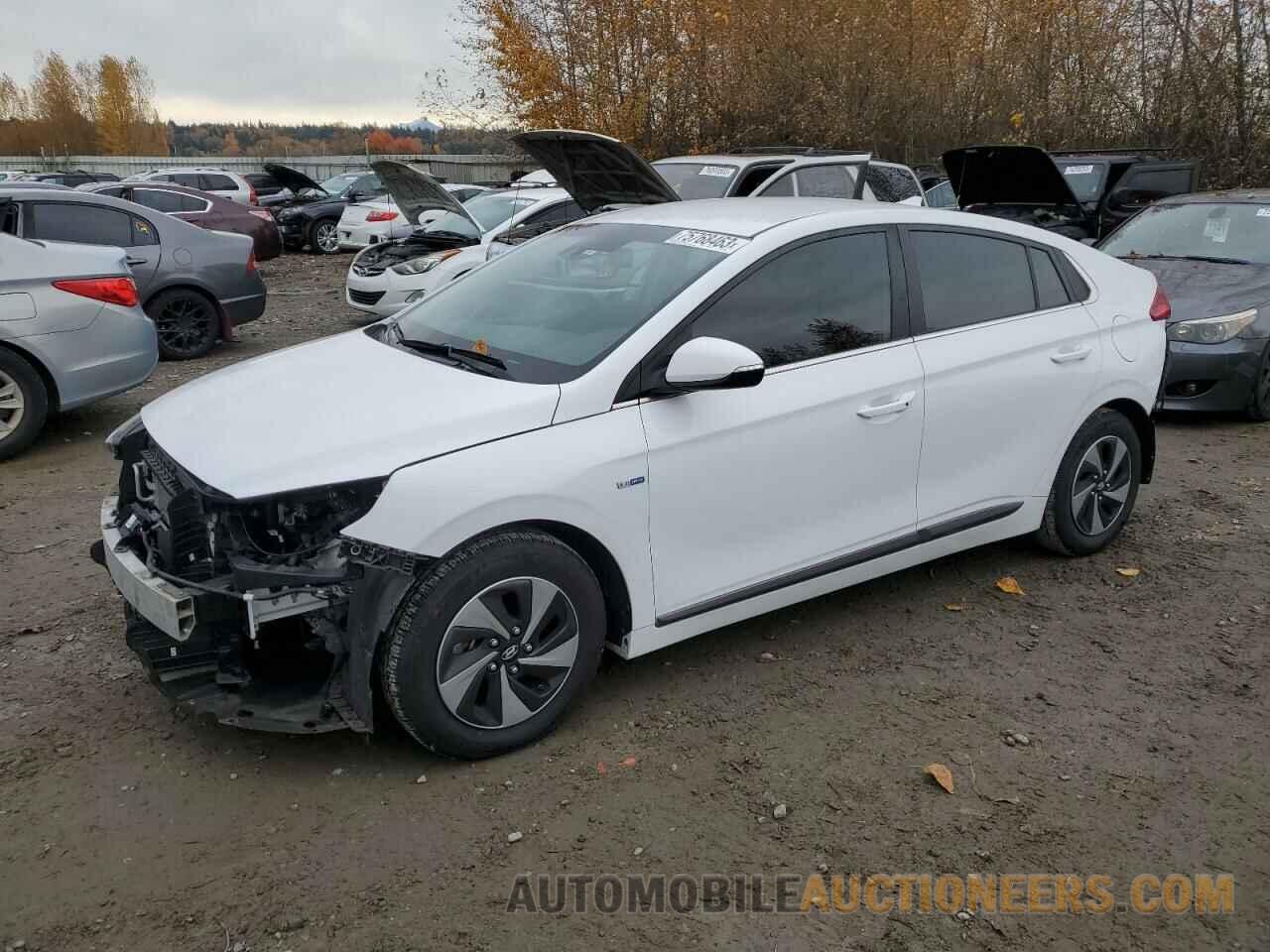 KMHC75LC2KU135984 HYUNDAI IONIQ 2019