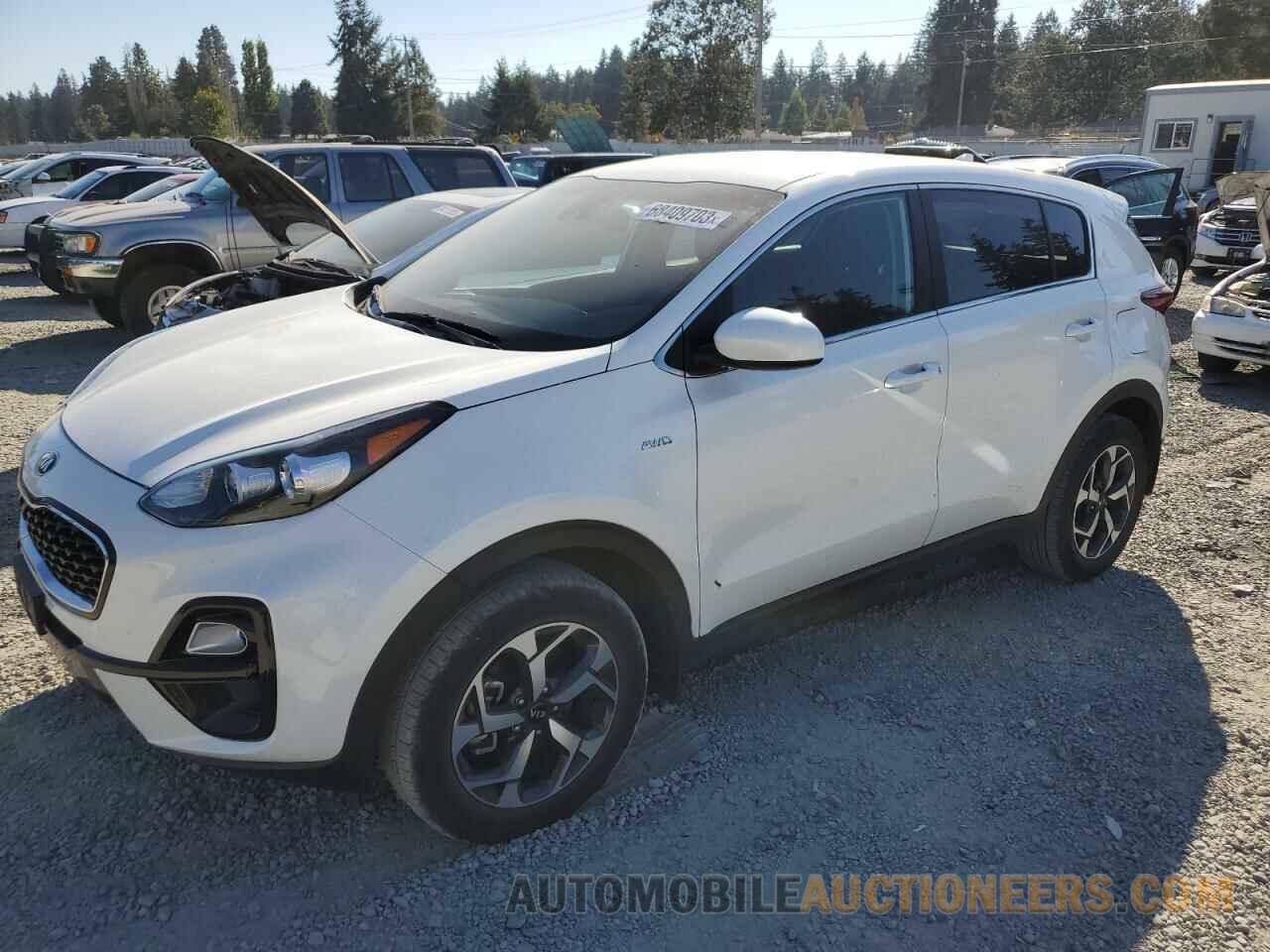 KNDPMCAC1N7966062 KIA SPORTAGE 2022