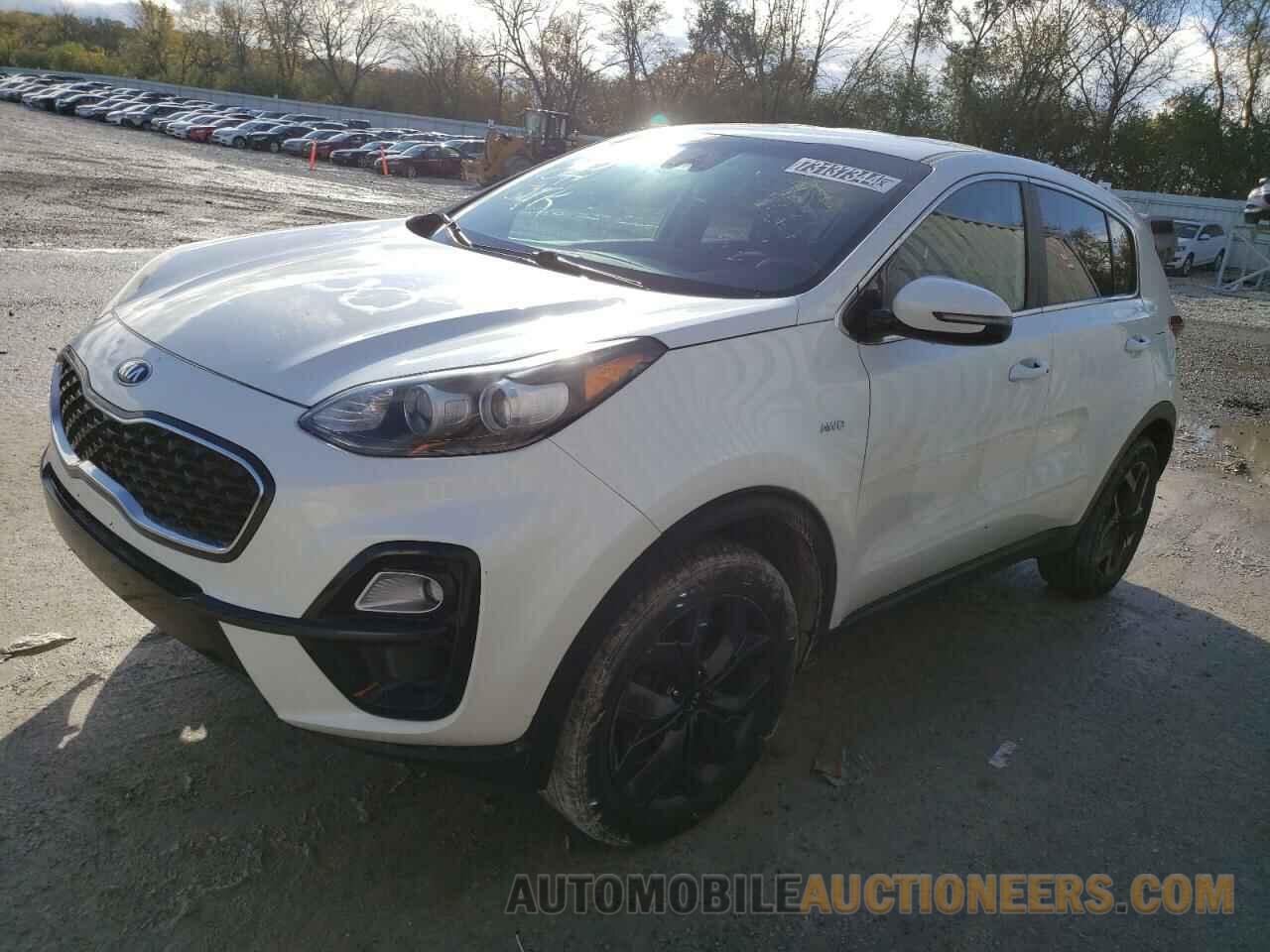 KNDPMCAC3N7008203 KIA SPORTAGE 2022