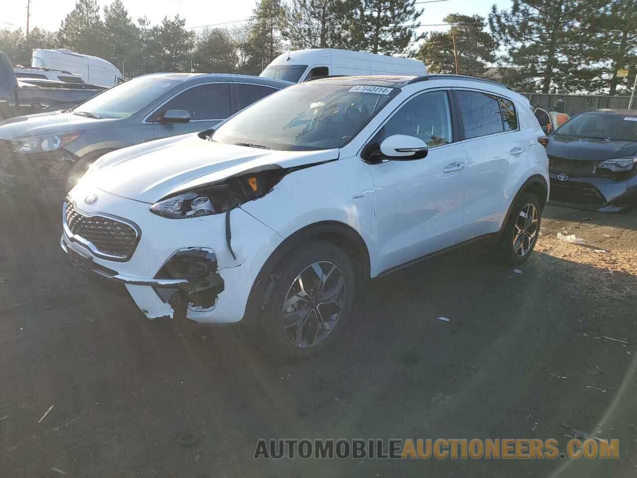 KNDPNCAC2N7011669 KIA SPORTAGE 2022