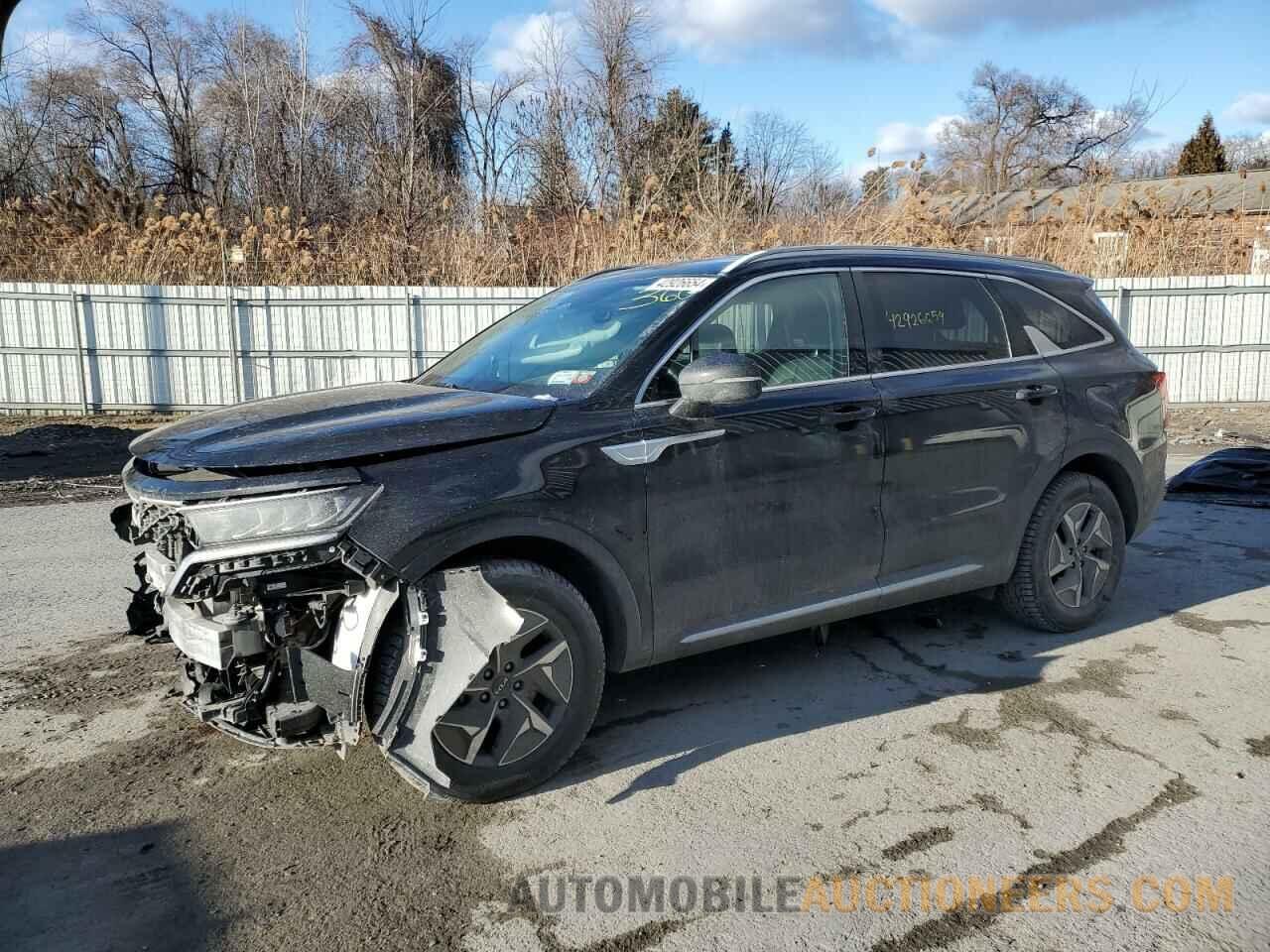 KNDRGDLGXN5117727 KIA SORENTO 2022