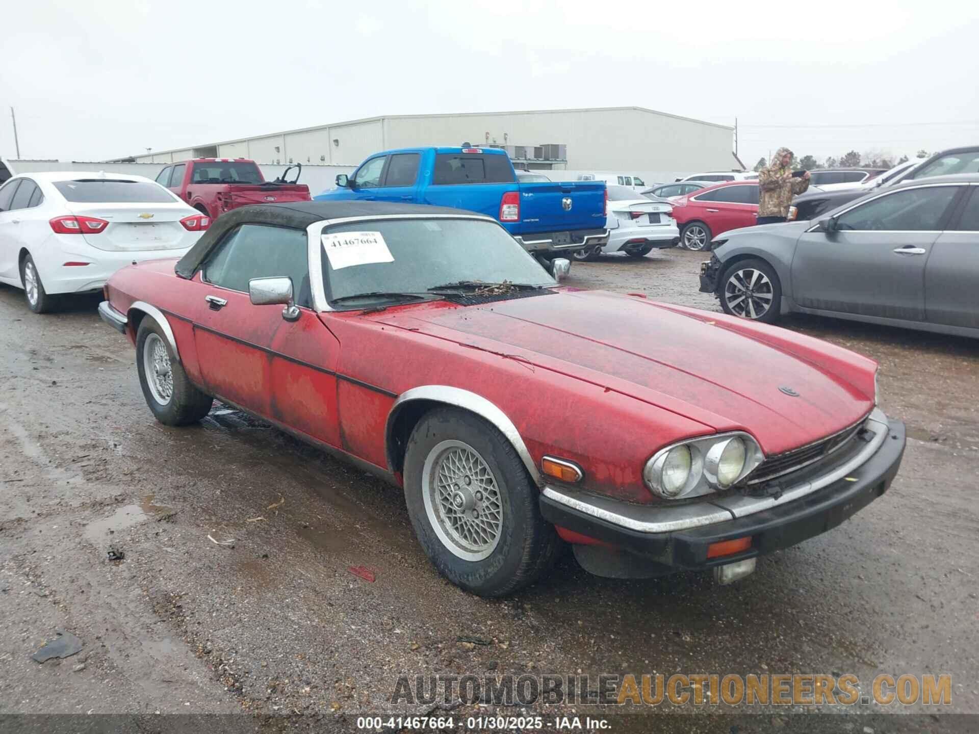 SAJNV4848KC163262 JAGUAR XJS 1989