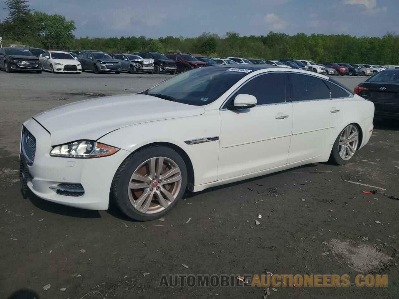 SAJWJ2GD0F8V75500 JAGUAR XJ 2015