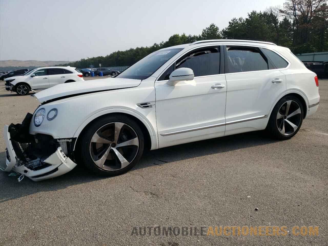 SJAAM2ZV4KC026896 BENTLEY ALL MODELS 2019