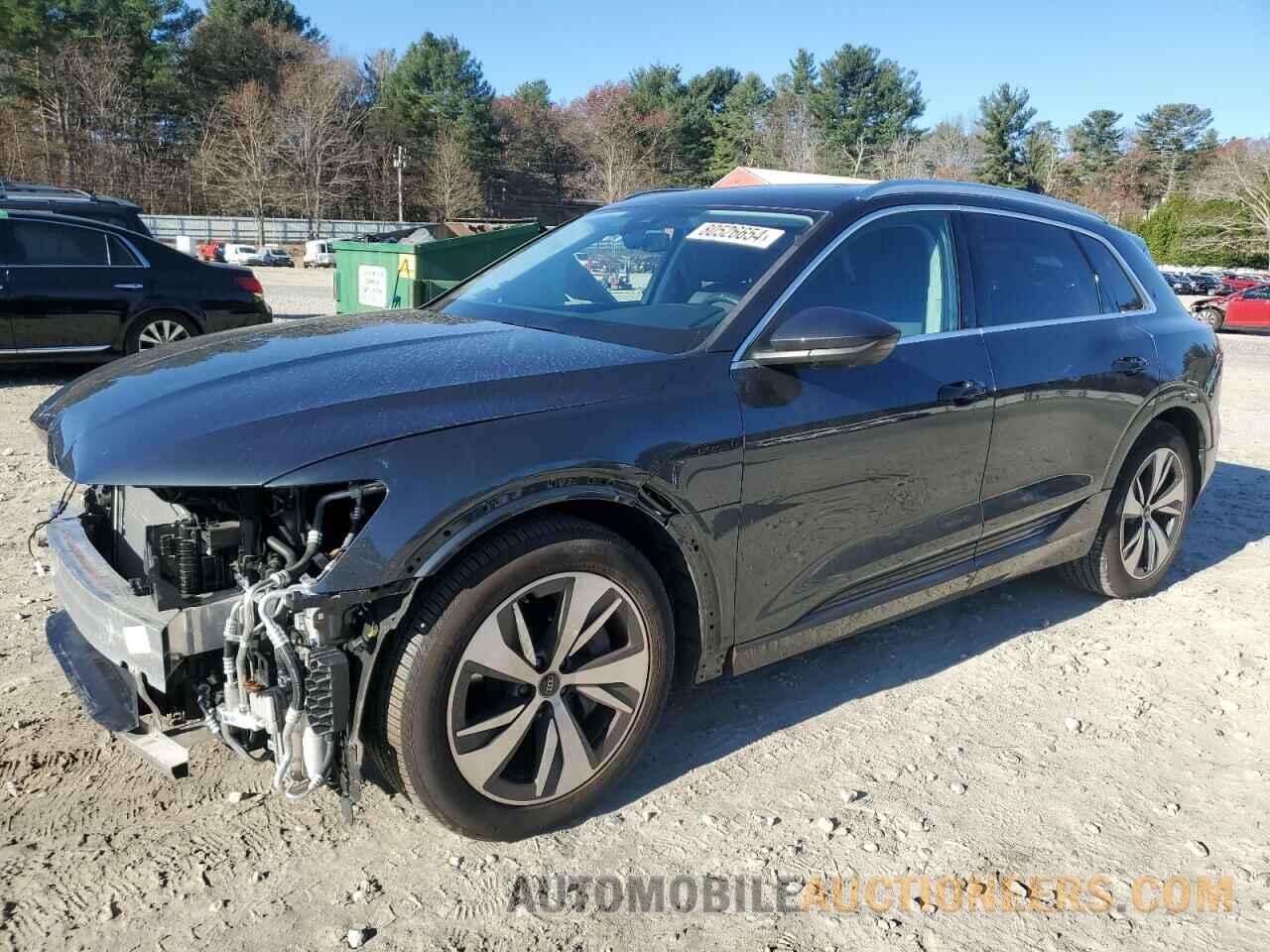 WA15AAGE2RB022720 AUDI Q8 E-TRON 2024