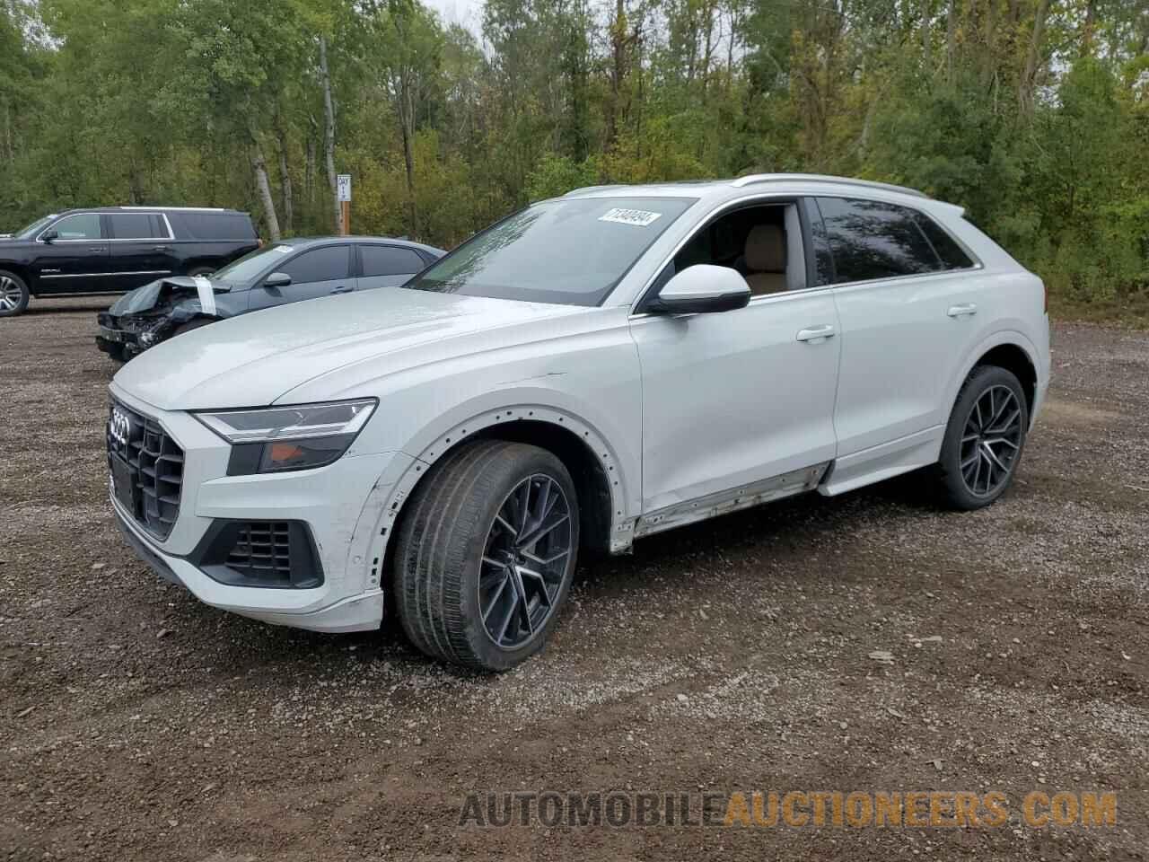 WA1AVAF13KD035553 AUDI Q8 2019