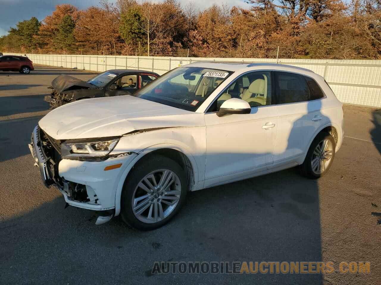 WA1BNAFY3K2046663 AUDI Q5 2019