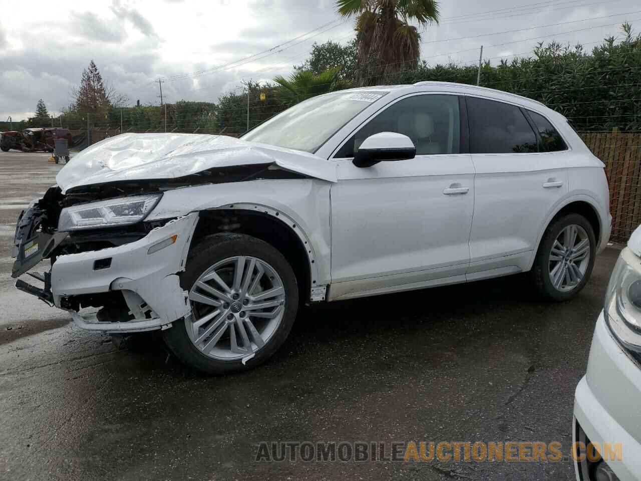 WA1BNAFY3K2124231 AUDI Q5 2019