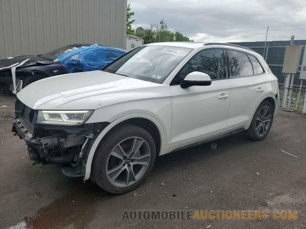 WA1BNAFY4K2065996 AUDI Q5 2019