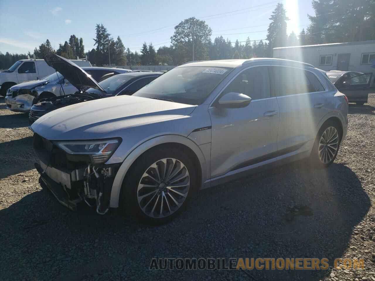 WA1VAAGE0KB021748 AUDI E-TRON 2019