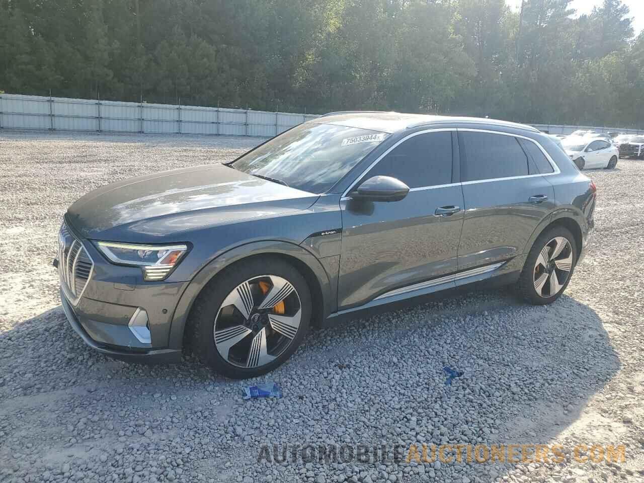 WA1VAAGE1KB006711 AUDI E-TRON CHR 2019