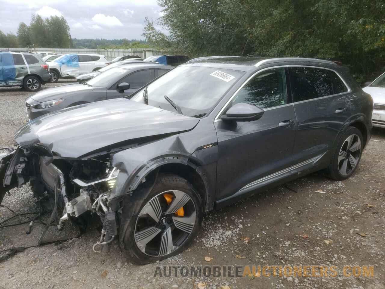 WA1VAAGE2KB006376 AUDI E-TRON 2019