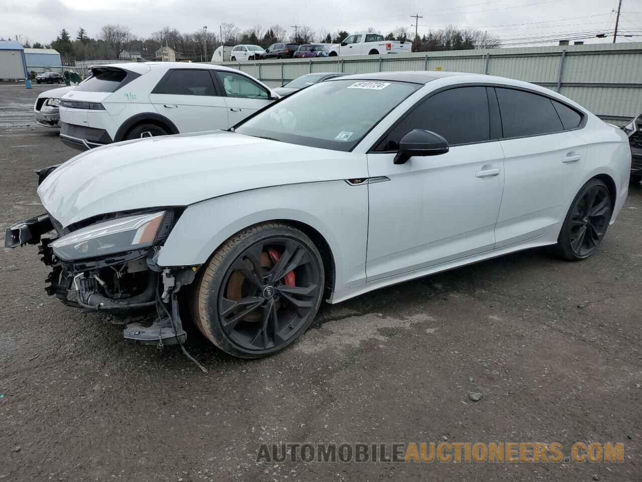 WAUC4CF56MA006226 AUDI S5-RS5 2021