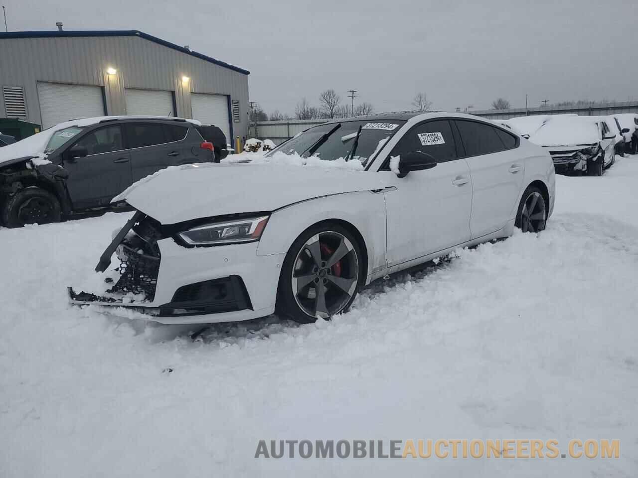 WAUC4CF5XKA097885 AUDI S5-RS5 2019