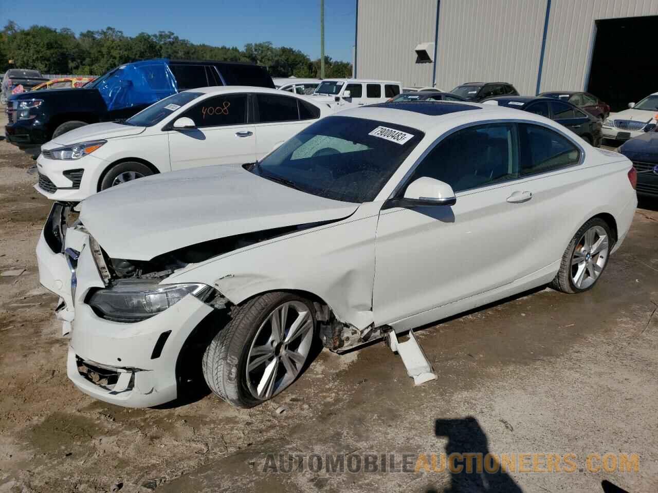 WBA1F5C55FV257445 BMW 2 SERIES 2015