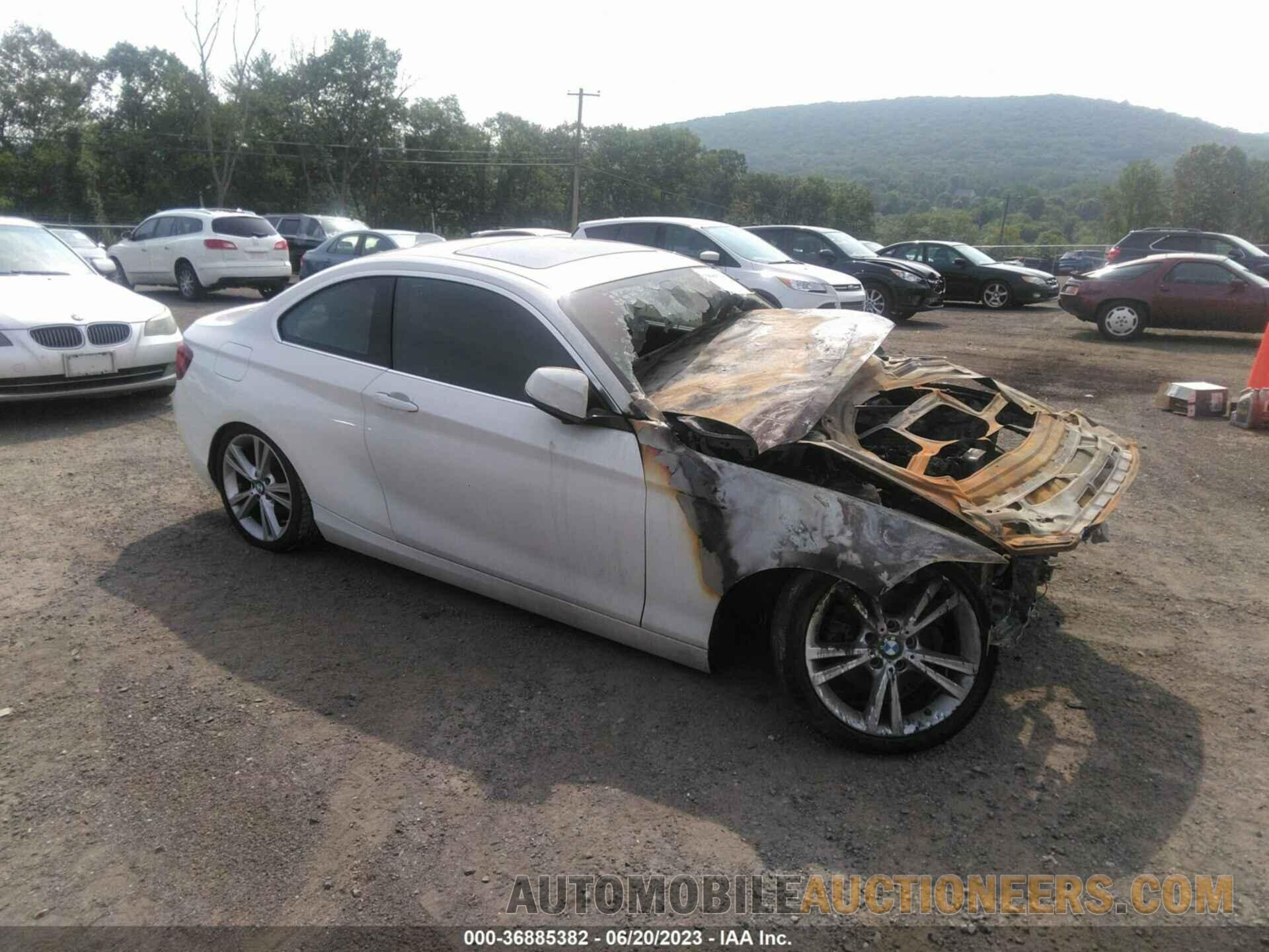 WBA1F7C51FVX95507 BMW 2 SERIES 2015