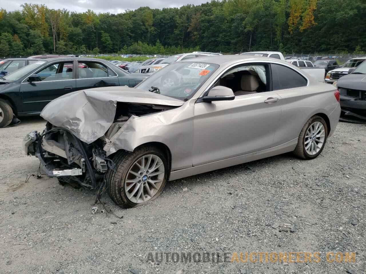 WBA1F9C5XGV544305 BMW 2 SERIES 2016