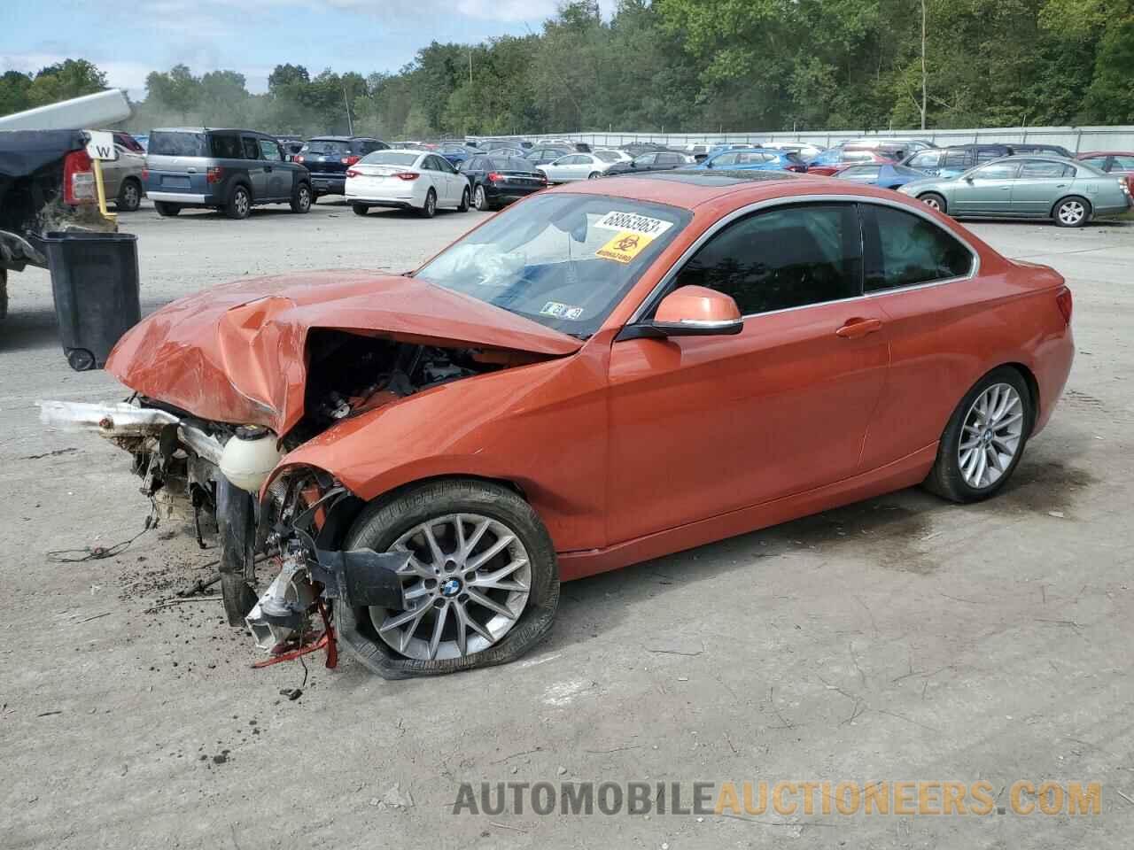 WBA1G9C58GV599025 BMW 2 SERIES 2016