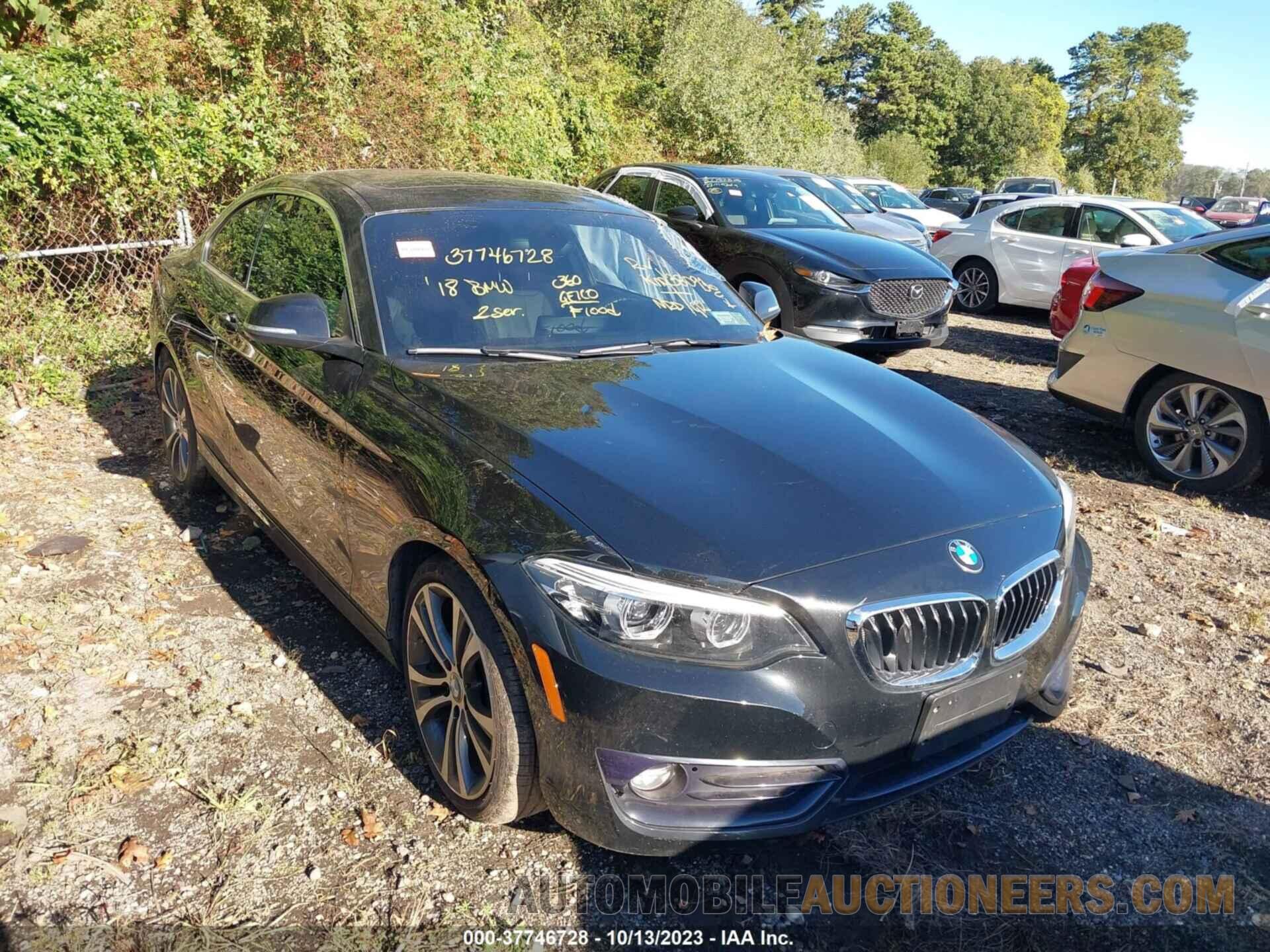 WBA2J3C51JVD48487 BMW 2 SERIES 2018