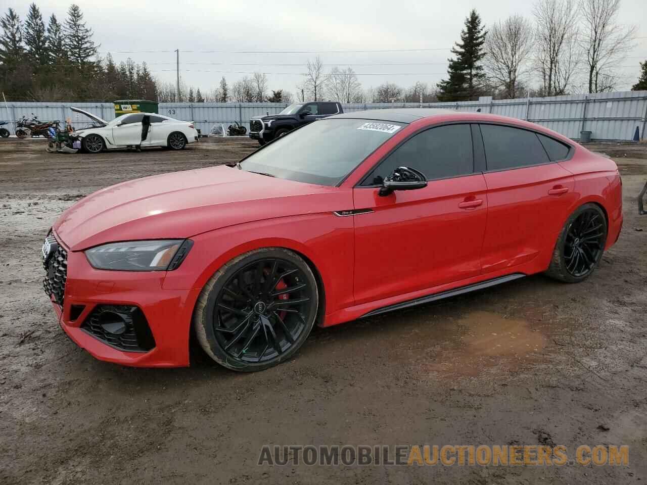 WUAAWCF51PA902154 AUDI S5-RS5 2023