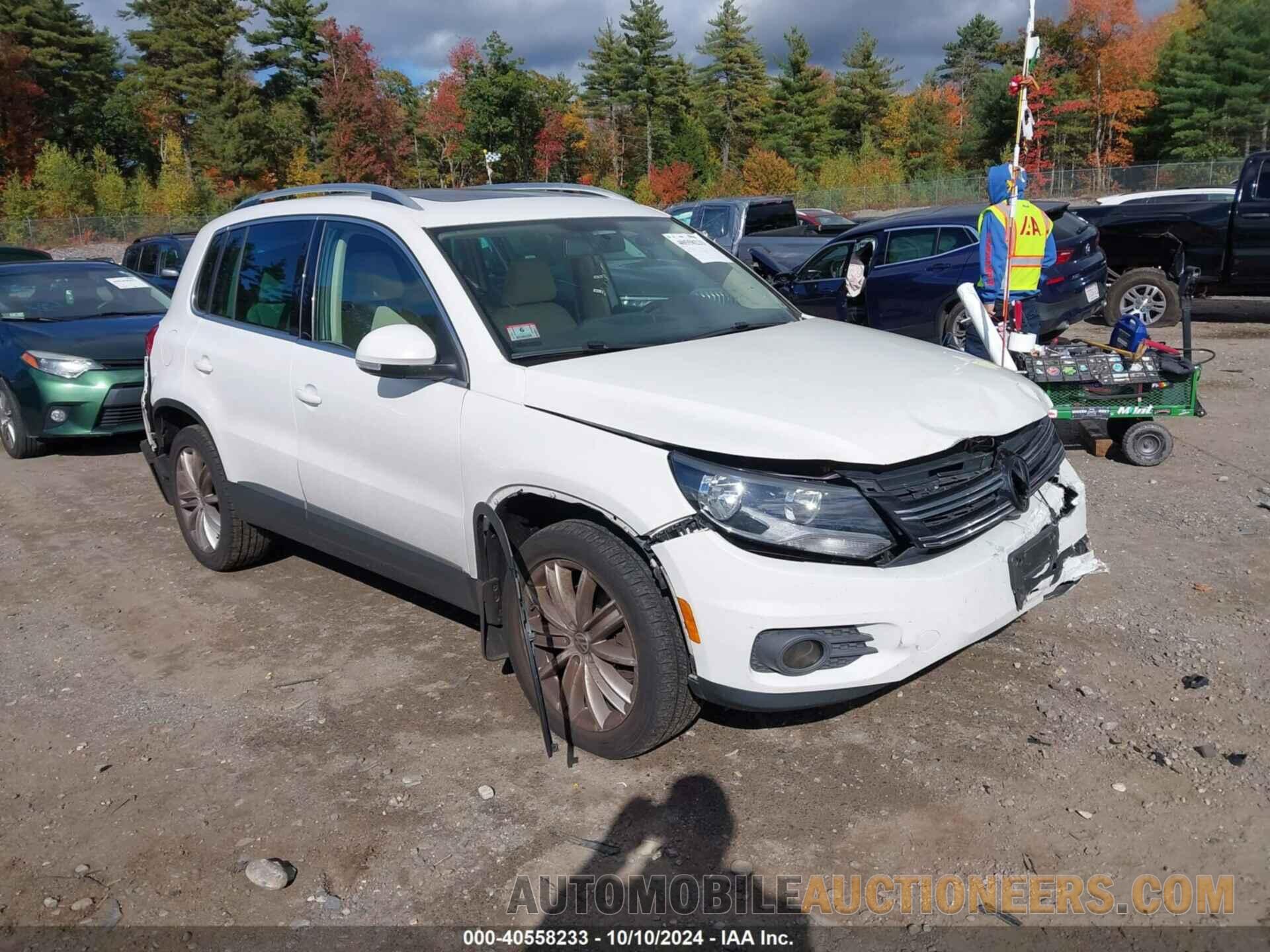 WVGBV3AX1DW607966 VOLKSWAGEN TIGUAN 2013