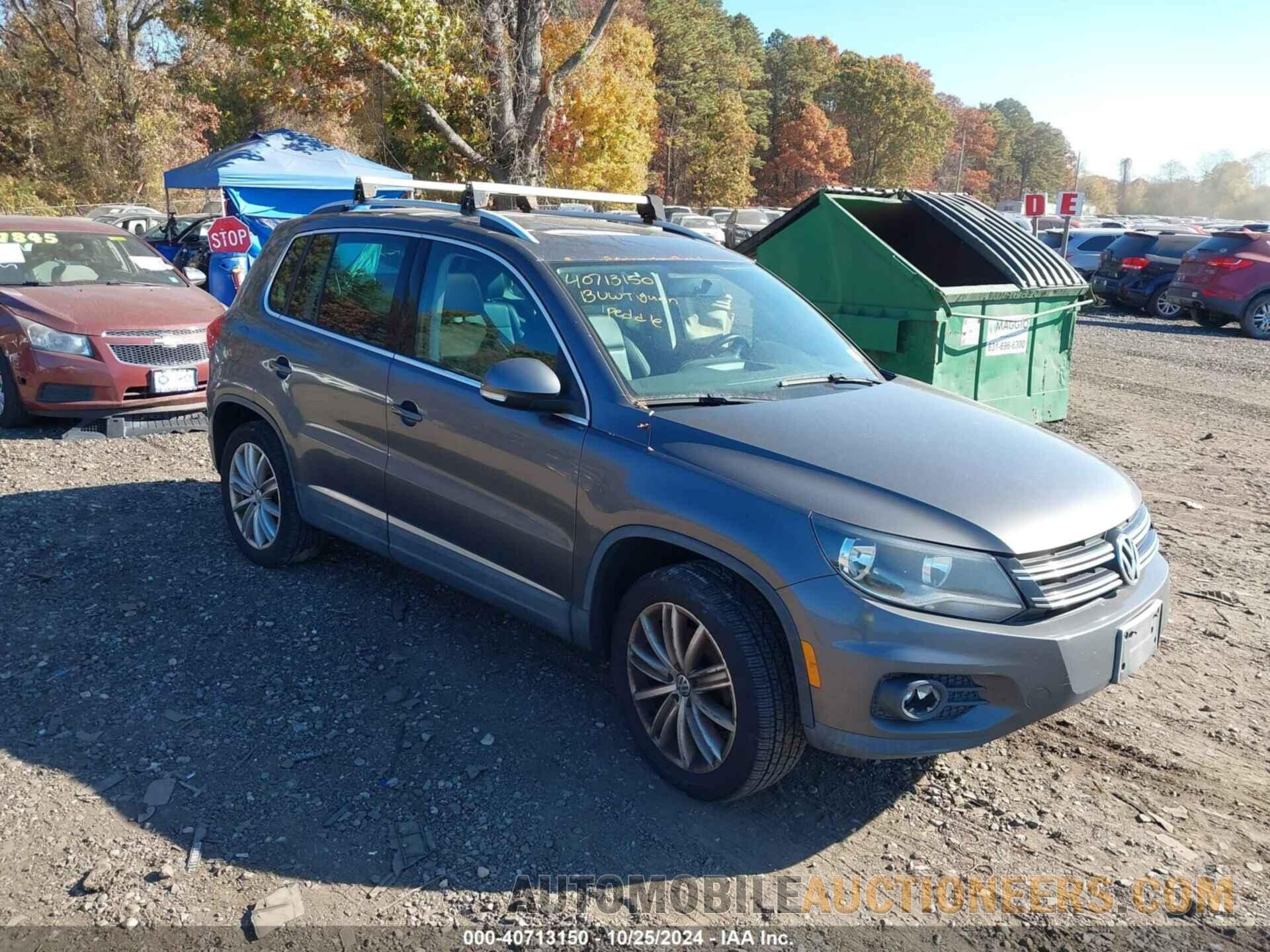 WVGBV3AX9DW604202 VOLKSWAGEN TIGUAN 2013